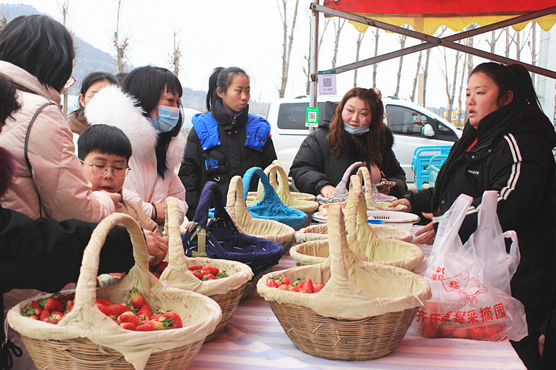 ��ݮ�h��c�´� | ���f�(zh��n)��ɽ�ڲ�ݮ��ժ��(l��)Ȥ���������w�(y��n)�e����ζ