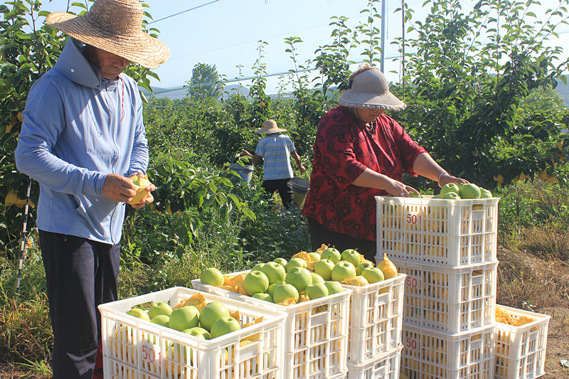 ��óԣ����Ѕ^(q��)ǰ�����@��(g��)���@������������